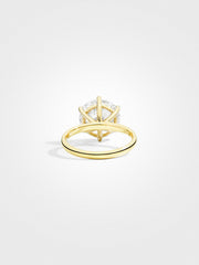 Round Solitaire - Yellow Gold - 5 ct